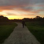 Peter Corby - @corby5474 - Instagram
