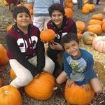 Peter Corona - @peter.corona - Instagram