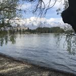Peter Coroneo - @peter.coroneo - Instagram