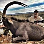 Peter Corrado - @peter.corrado - Instagram