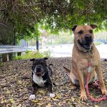 Peter and Henri Corral - @peterandhenri - Instagram