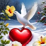 Collin Peter - Facebook