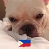 petercoscolluela - @petercoscolluela - TikTok
