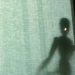 Peter Cotter - @petercotter - Instagram