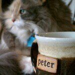 Peter Counts - @count321 - Instagram