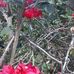 Peter Coy Juc - Facebook