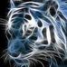 Peter Craft - Facebook