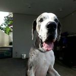 Peter Crespo - @crespopeter1972 - Instagram