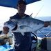 Peter Crimmins - Facebook