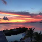 Peter Crocco - @croccopeter - Instagram