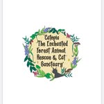 Peter Cross - @catopiacatsanctuary - Instagram
