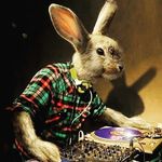 Peter cross - @crossys_drums - Instagram