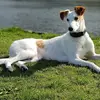 Pete Crossley - @pete.crossley - TikTok