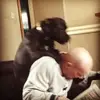 Peter Crossley - @peter.crossley - TikTok