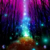 Peter Crossley - @holly_and_dogs - TikTok