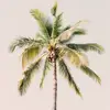petercrossley981 - @petercrossley981 - TikTok