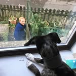 Peter Crowder - @peter__crowder - Instagram