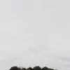 PeterCrowder8345 - @petercrowder8345 - TikTok