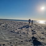 Peter Cummins - @petercummins1 - Instagram