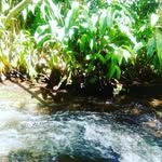 Peter Cunha - @petercunha2 - Instagram