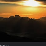 Peter Cunha - @petercunha5 - Instagram