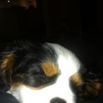 Peter Dahlberg - @peter.dahlberg.130511 - Instagram