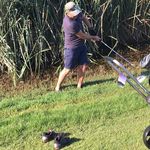 Peter Dahlberg - @dahlbergpeter - Instagram