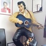 Peter Daley - @daley.peter - Instagram