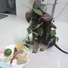 Peter Dam - @peter.dam27 - TikTok