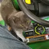 peterdamen682 - @peterdamen682 - TikTok