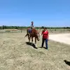Danee Peters - @danee.peters - TikTok