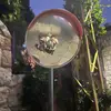 peter_boudaou - @peter_boudaou - TikTok