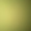 Peter Darian - @peter.darian6 - TikTok