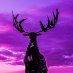 Peter Davidson - @photosbypeterdavidson - Instagram