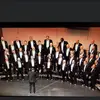 peter.davis.1 - @peter.davis.1 - TikTok