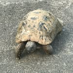 @peterdavison5 - Instagram