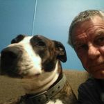 Peter Dawes - @peter.dawes.311 - Instagram