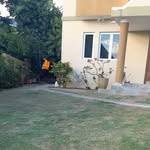 peter_daye - @peter_daye - Instagram