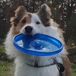 Peter Degen - @autorijschoolpeterdegen - Instagram