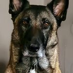 Peter Degens - @peter.degens - Instagram