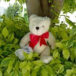 Peter Delgadillo Hermenegildo - @peter_elfino - Instagram