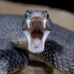 PETER DENNY - @peterdenny20 - Instagram