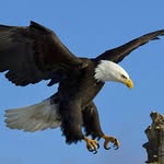 Peter Derksen - @peter.derksen739 - Instagram