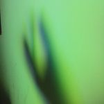 Peter Derksen - @penticott - Instagram