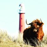 Peter Deschaux@gmail. com - @peterdeschaux - Instagram