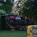 Peter Deterding - @hasenmoor66 - Instagram