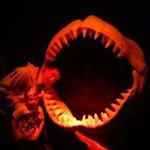 Peter Aww Crikey Devaney - @devaney.peter - Instagram