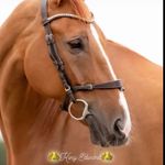 Peter De Vos - @peterdevos1234 - Instagram