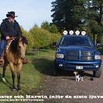 Peter de Vos - @peterde_vos - Instagram