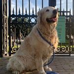 Peter de Vos - @peterdevos18 - Instagram